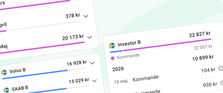 Kort fr&aring;n utdelningsfliken som visar utdelningar nedbrutet p&aring; m&aring;nadsvy.
